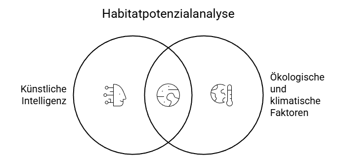 KI-basierte Arten- und Habitatprognose